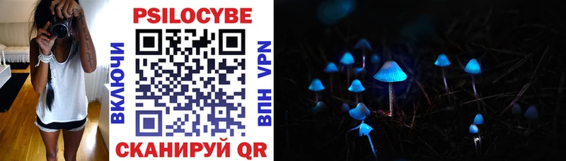 Псилоцибиновые грибы Cubensis  Себеж 